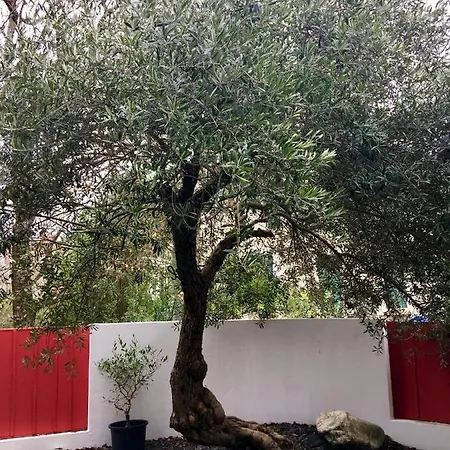 Villa Maison De Vacances Contemporaine Ronce Les Bains *