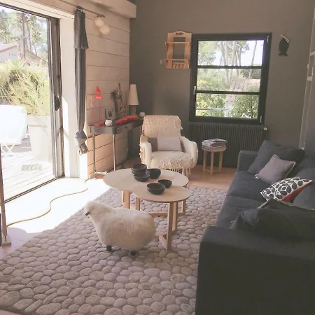Maison De Vacances Contemporaine Ronce Les Bains La Tremblade