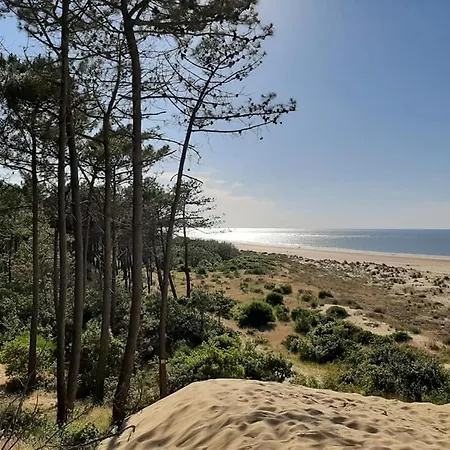 Maison De Vacances Contemporaine Ronce Les Bains La Tremblade