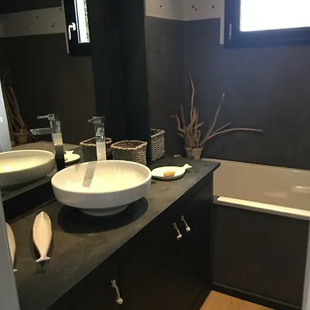 Maison De Vacances Contemporaine Ronce Les Bains Willa